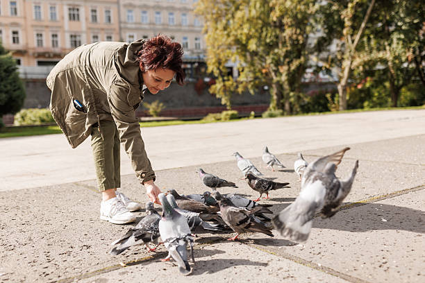 istock Woman feeding pigeons on old spa town square 2213688241