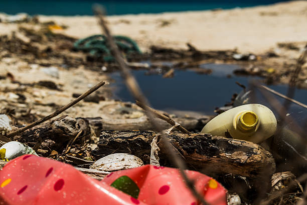 Plastic trash on a beach in northern Okinawa