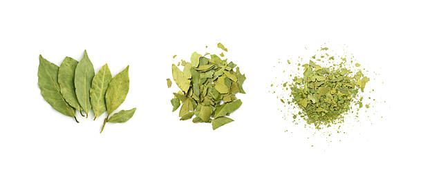 istock Dry Bay Leaves Powder, Crushed Laurel Leaf, Crumbled Broken Bayleaf, Fragrant Ingredient Pieces 2213689971