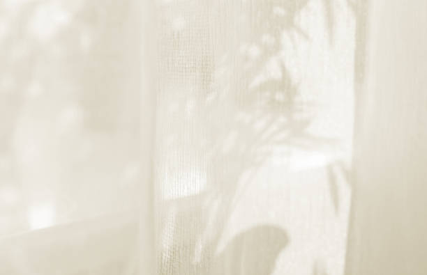 istock Sunlight on curtain, blurred shadow tulle background, sheer curtains, silk veil fabric 2213692783