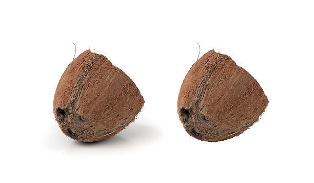 Coconut pieces, broken coco nut isolated, fresh tropical palm fruit slices, open cracked coconut cuts, natural milk, oil ingredient on white background