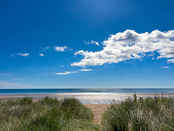 A serene coastal scene featuring soft pink sand, rolling dunes, and tufts of green grass under a stormy, blue-grey sky. Perfect for nature, travel, and outdoor lifestyle themes.