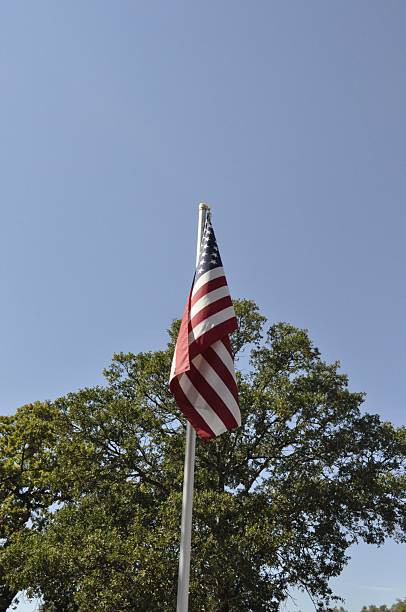 istock Flag waving against sunlit sky 2213695922