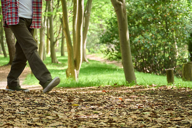 Casual stroll through nature on a sunny day