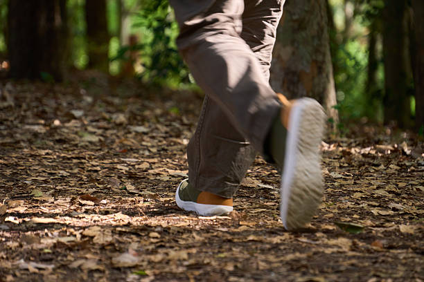 istock Casual stroll through nature on a sunny day 2213696799