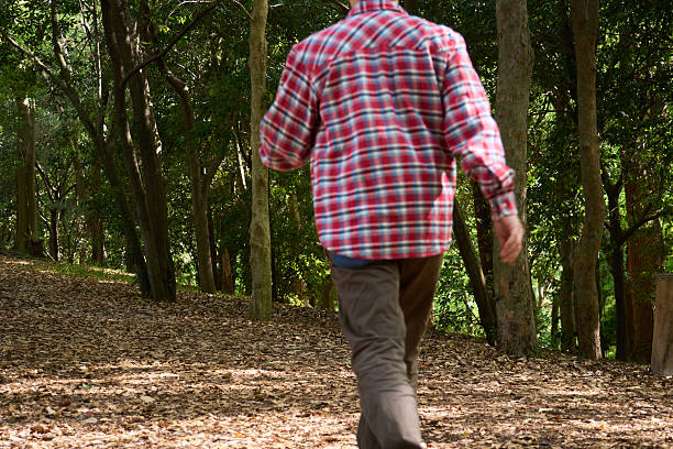Casual stroll through nature on a sunny day
