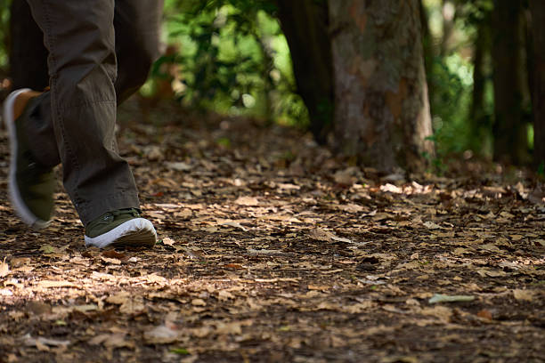 istock Casual stroll through nature on a sunny day 2213696806