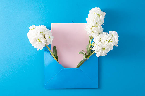 Flowers in blue envelope with greeting card on blue background