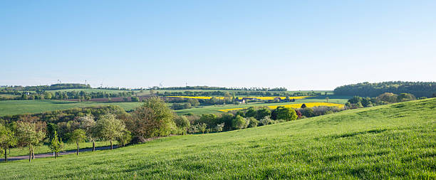 istock fresh spring colors on trees and fields in german nature park saar-hunsrueck under blue sky 2213705454