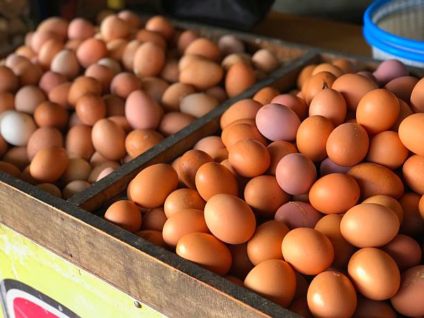 istock Neatly Arranged Eggs at Traditional Market in Indonesia 2213707720