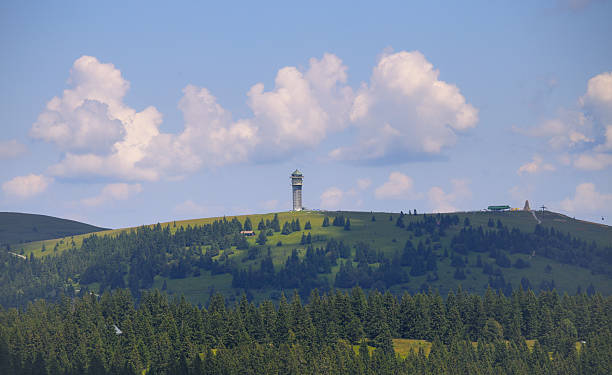 View to the Feldberg - Black Forest - Germany