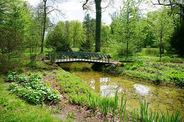 istock Serene park view with footbridge and stream. 2213711580