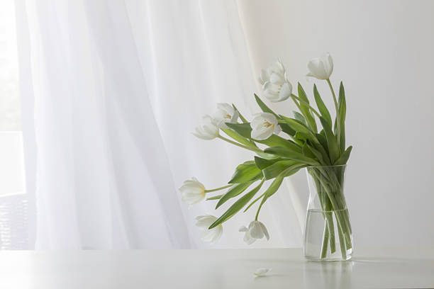 White double tulips in glass jug and resting on small table against neutral wall background
