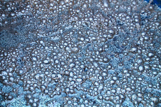 A dark stone creates a significant splash as it hits the surface of a calm lake. Clear ripples spread outward, reflecting the bright blue sky and the surrounding water.