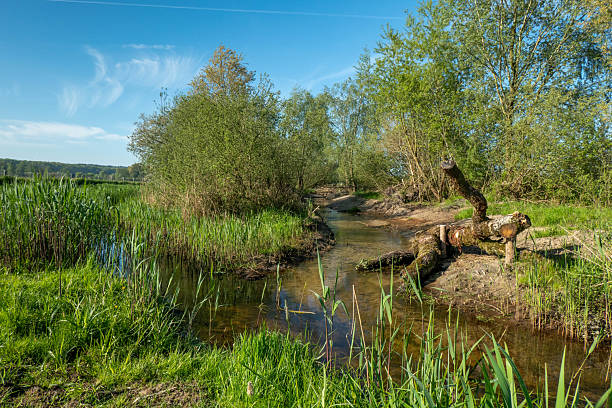 Suhrendorf on island Ummanz in Germany