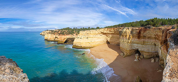 Beautifull sandy beach with emerald water, gull in foreground
