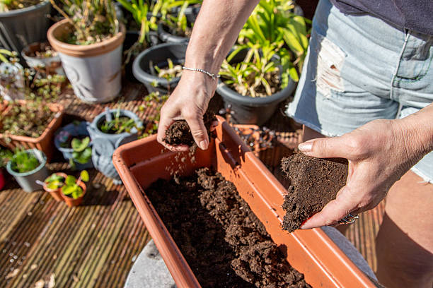 istock woman gardening 2213728812