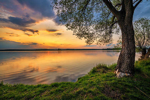 Beautiful summer sunset at lake