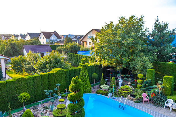 Luxurious villa with outside swimming pool at summer scene.Big blue swimming pool near living room and kitchen. Stylish and comfortable sun area with a modern brown sunbeds. Dark gray accent slate stone walls with natural plants.Natural floor tiles. Ceiling with white spotlights.+++ background is my photo.