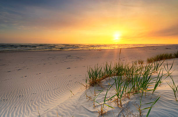 istock Beautiful summer sunset over beach at Baltic sea 2213744922