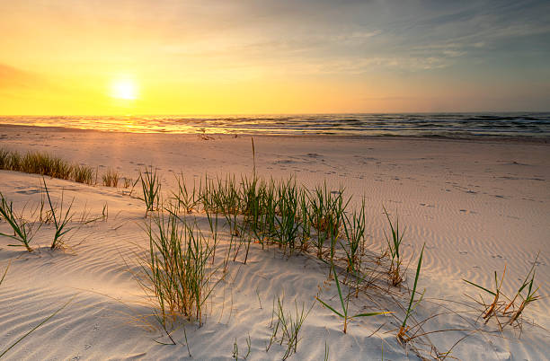 istock Beautiful summer sunset over beach at Baltic sea 2213744923