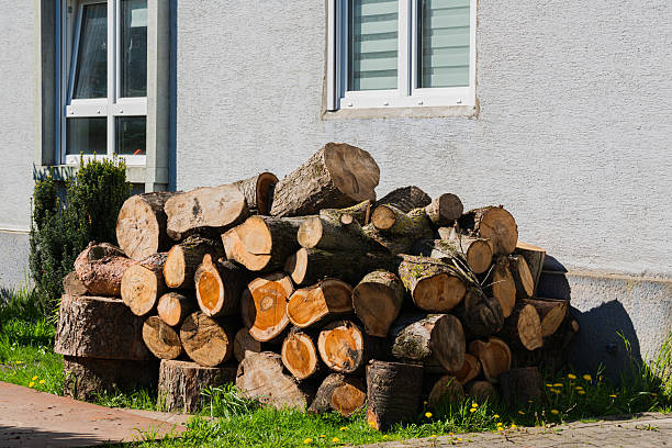istock Stacked logs beside a house on a sunny spring day 2213747348