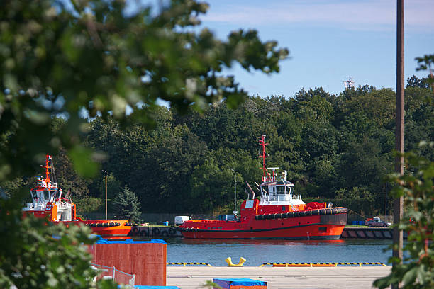 Two orange tugboats are stationed at the harbor with a lush green backdrop. The sun is shining, creating a vibrant atmosphere perfect for marine activities.