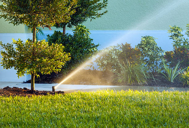 istock Automatic irrigation system with water sprinkler for maintaining grass lawn 2213749458