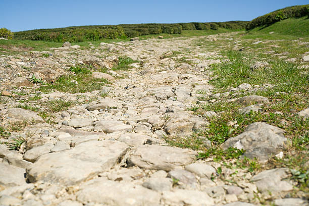 A breathtakingly scenic view of a winding rocky pathway surrounded by lush, vibrant greenery under a clear blue sky