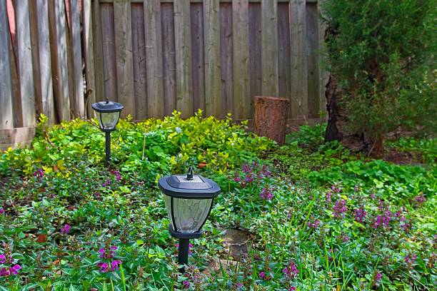 istock Tranquil Garden with Solar Lights and Colorful Flowers 2213751324