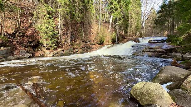 istock A Serene, Flowing River Beautifully Surrounded by Lush Green Forest and Rocky Terrain 2213754585