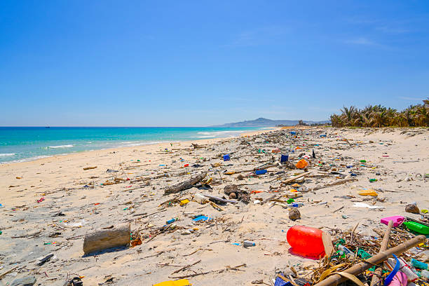istock Scattered garbage public beach shows significant pollution ecological disaster plastic containers, household waste, bottles, debris along shoreline. Efforts to clean up area critical ecosystem storm 2213761141