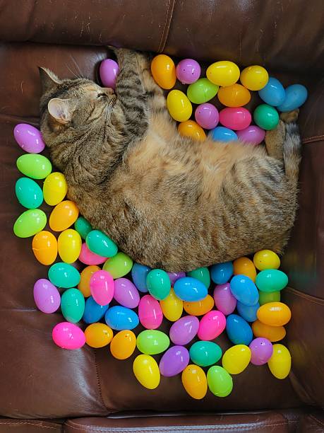 istock A cute cat is laid on a cozy couch with colorful easter eggs 2213761429