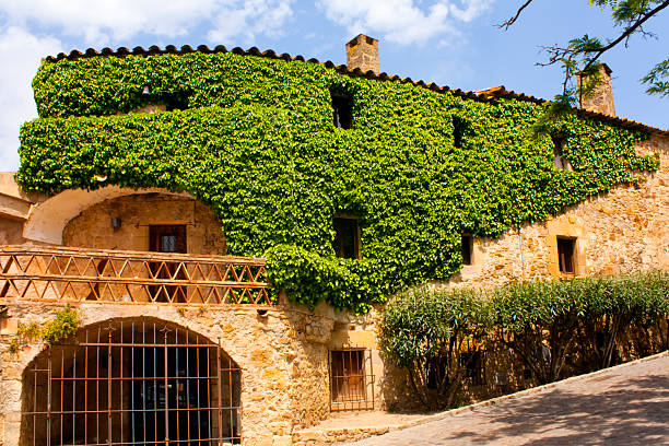 Street view, stone house covered with ivy   in medieval village  Pals, Girona, Catalunya, Spain.