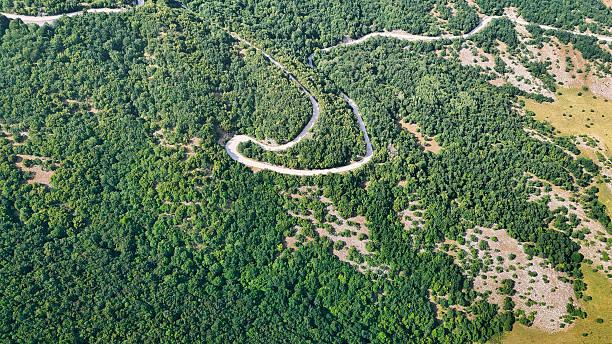 Aerial view of a winding road making its way through a green forest