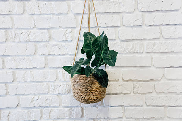 Hanging plant in woven basket against a white brick wall enhances home decor effectively