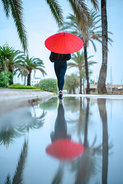 Woman walking along a palm tree-lined path, holding a vibrant red umbrella, creates a tranquil scene reflected in a serene pool of water
