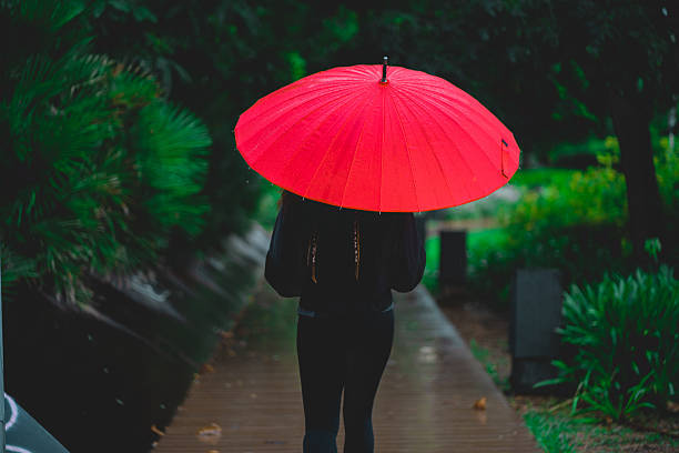 Lone individual walking along a wooden path in a lush park, holding a vibrant red umbrella that contrasts with the moody, rainy surroundings