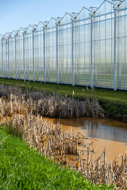 the pollution water ditch beside green house in Netherlands