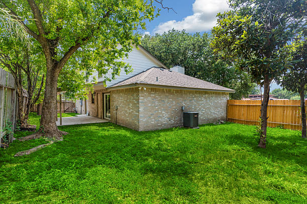 istock The spacious backyard has lush grass and trees, providing beauty 2213784879