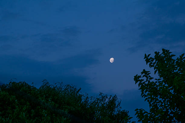 Full moon in the sky at night