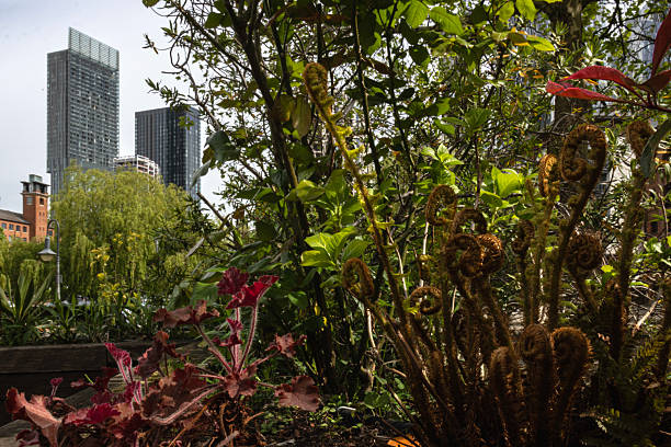 istock Lush Foliage and city Skyscrapers 2213785612