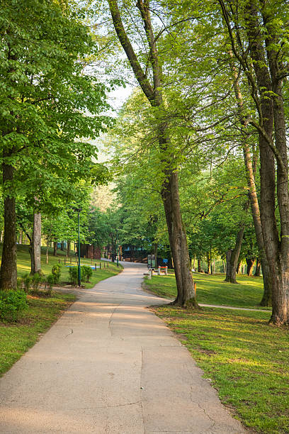 istock Pathway through a verdant park surrounded by lush trees and greenery leading towards a building in the distance 2213785615