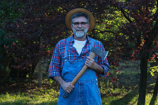 cut wood farmer forest bearded senior man lumber