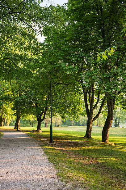 istock Park Pathway: A serene gravel path winds through lush greenery inviting a peaceful stroll in the warm light of a sunny day 2213786345