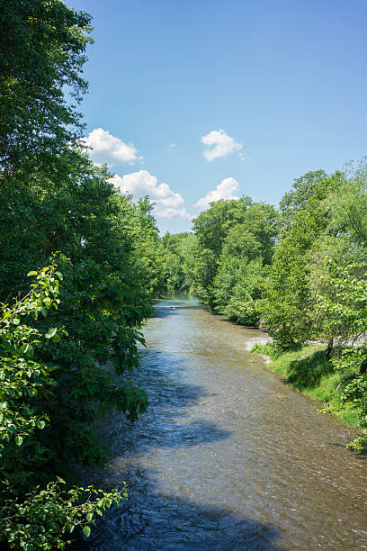 istock The little water stream flowing between the woods. 2213787483