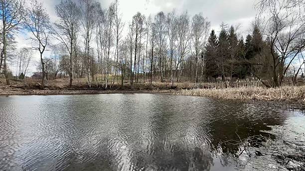 A serene lakeside landscape with stunning reflections and a frosty atmosphere, inviting tranquility