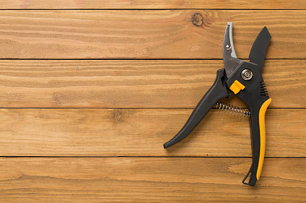 Point of view as gardener holds pruning shears or secateurs. Man pruning tree with clippers. Gardening Concept, Dirty leather gardening gloves. Spring clean up in the garden.