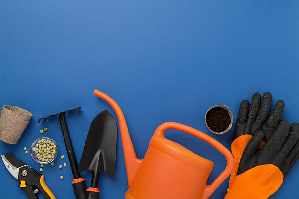istock Orange gardening tools on color background, top view 2213789056