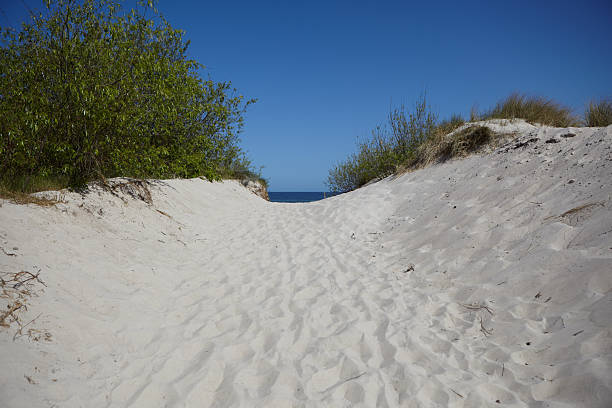 istock Sandy Path Through Coastal Dunes Leading to the Seaside on a Clear Day 2213790537